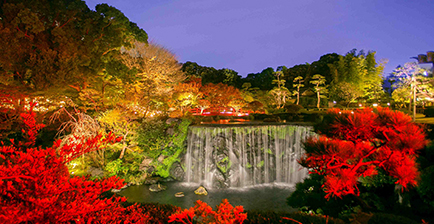 Japanese Garden(Autumn)