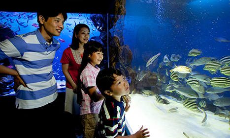 Toba Aquarium