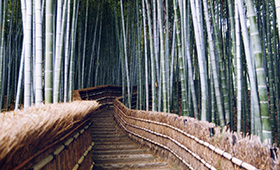 Arashiyama