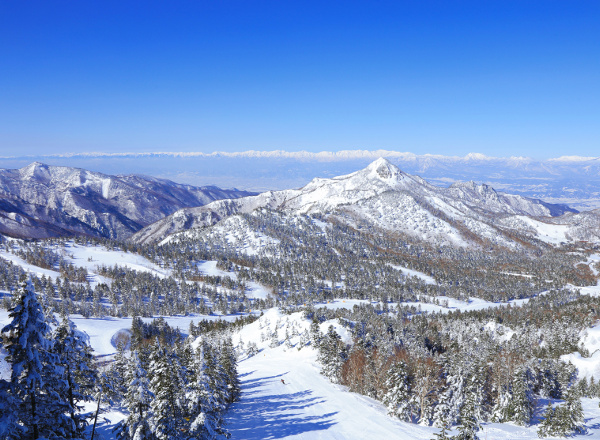 Shiga Kogen Ski Resort