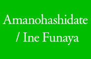 Amanohashidate / Ine Funaya