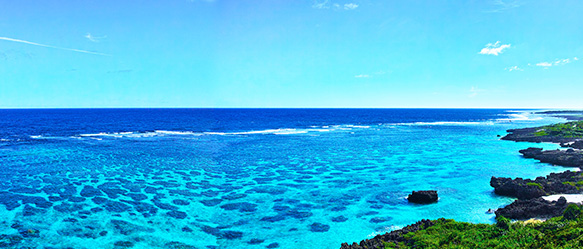 Imugya Marine Garden