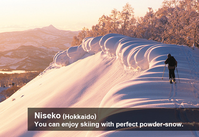 Niseko (Hokkaido) You can enjoy skiing with perfect powder-snow.