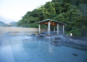 Tenseien