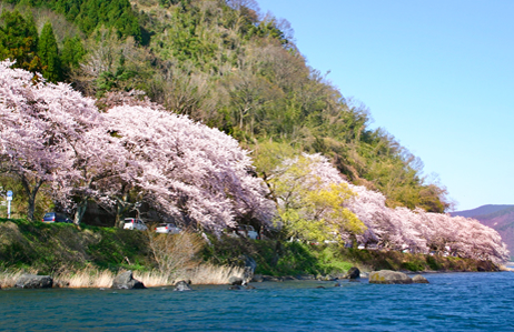 Kaizuosaki