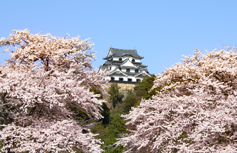 Hikone-jo Castle