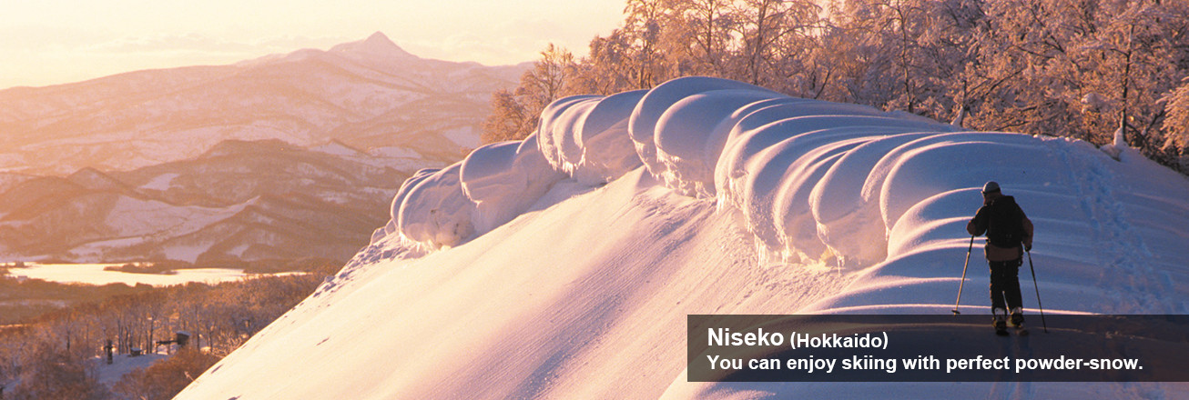 Niseko (Hokkaido) You can enjoy skiing with perfect powder-snow.