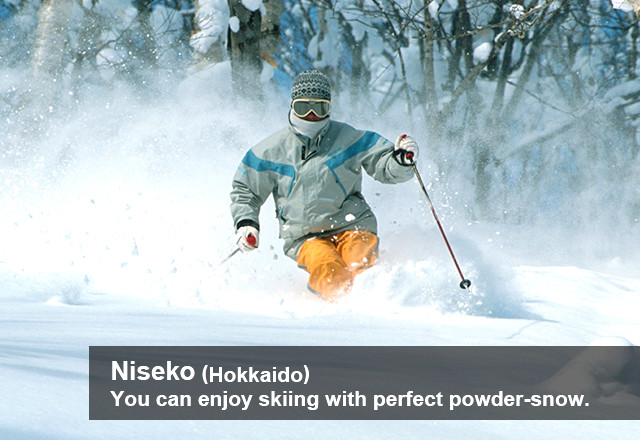Niseko (Hokkaido) You can enjoy skiing with perfect powder-snow.