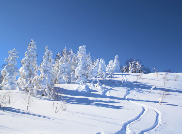 Appi Kogen Ski Resort