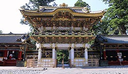 Nikko special
