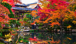 Japan in Autumn Beauty