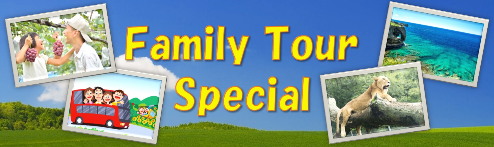 Family Tour Special