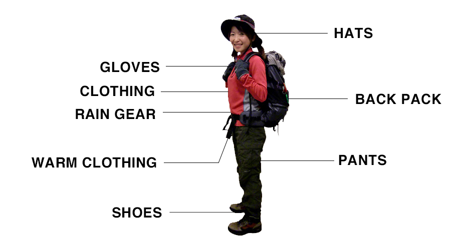 Necessary equipment