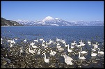 Lake Inawashiro