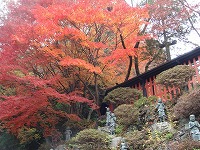 Mt. Takao