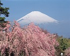 Gotemba and Subashiri