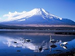 Lake Yamanaka