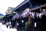 Takayama