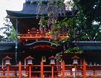 Kasuga Taisha Shrine