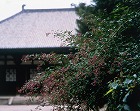 Toshodaiji Temple