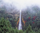 Nachi great falls （Nachi-no-taki）