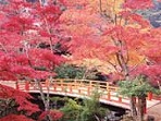 Miyajima