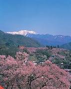 Takato Joshi Park