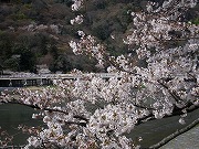 Arashiyama