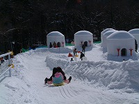 Yunishigawa Onsen Ice and Kamakura Festival