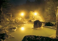 Turbid  Hot-Spring Hotel