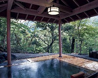 Hakone Miyanoshita Onsen ／ Musashino Bekkan