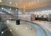 Public Main bath