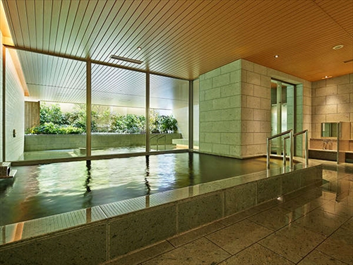 Public Main bath