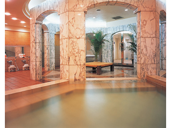 Public Main bath