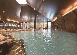 Public Main bath