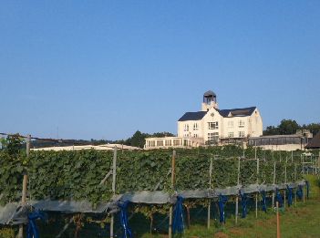 Hotel facade in summer