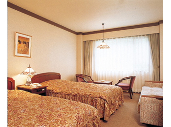 Western style room