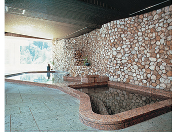 Public Main bath