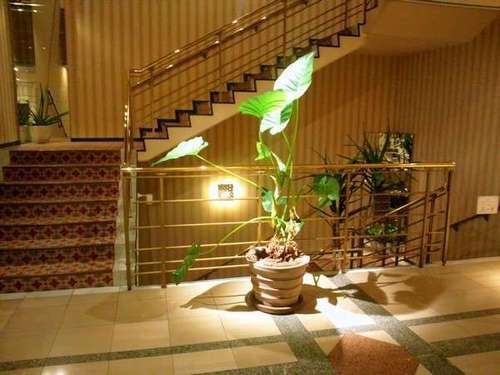 Hotel lobby