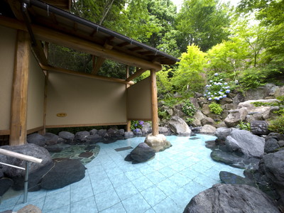 Public Spa（image)