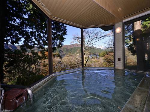 Public Main bath