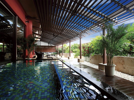 Public Spa（image)