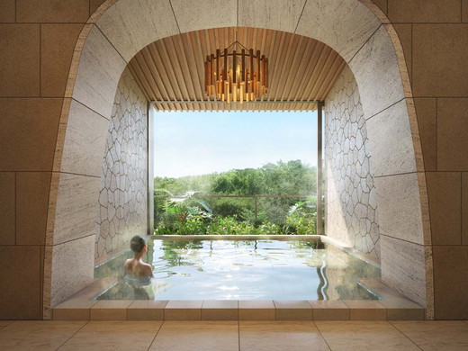 Public Spa（image)