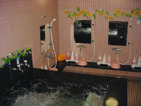 Public Spa（image)
