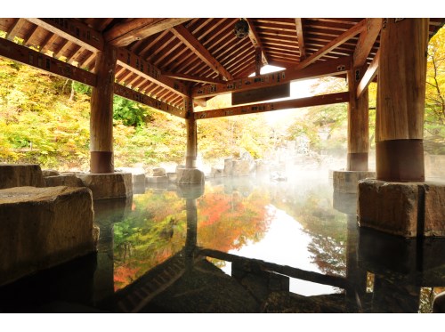 Public Spa（image)