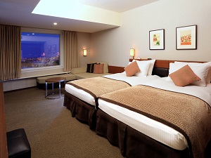 Western style room