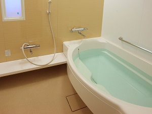 Guest bathroom
