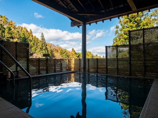 Public Main bath