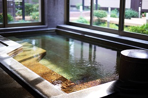 Public Main bath
